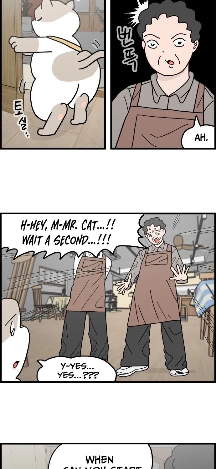 First-Job Cat Chapter 2 page 21 - 