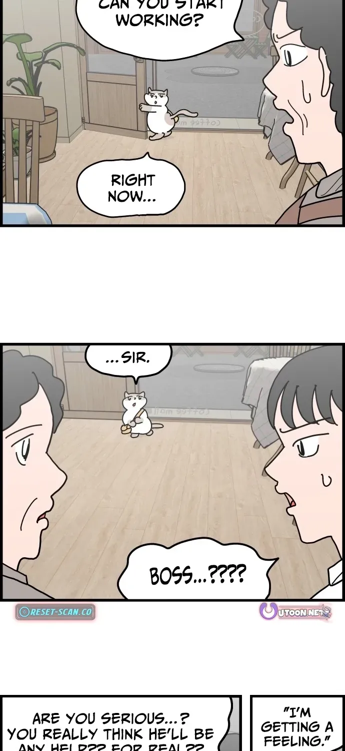 First-Job Cat Chapter 2 page 22 - 