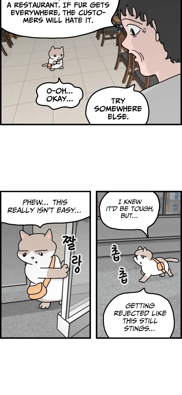 First-Job Cat Chapter 2 page 6 - 