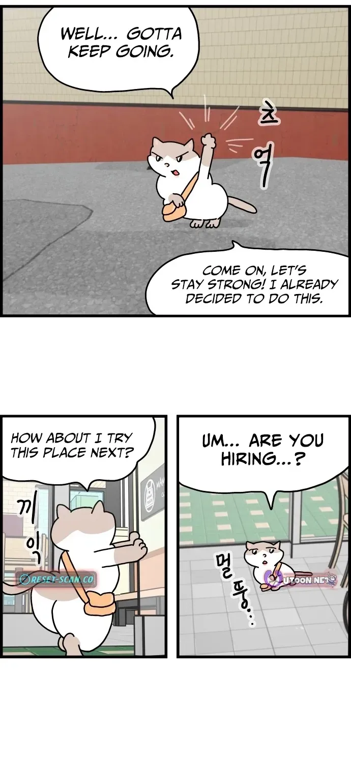 First-Job Cat Chapter 2 page 7 - 