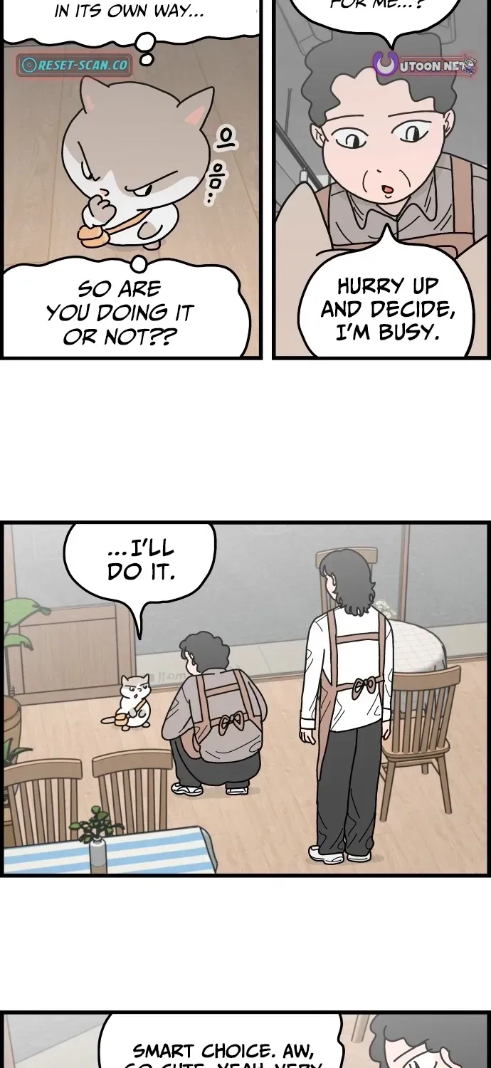 First-Job Cat Chapter 3 page 11 - 