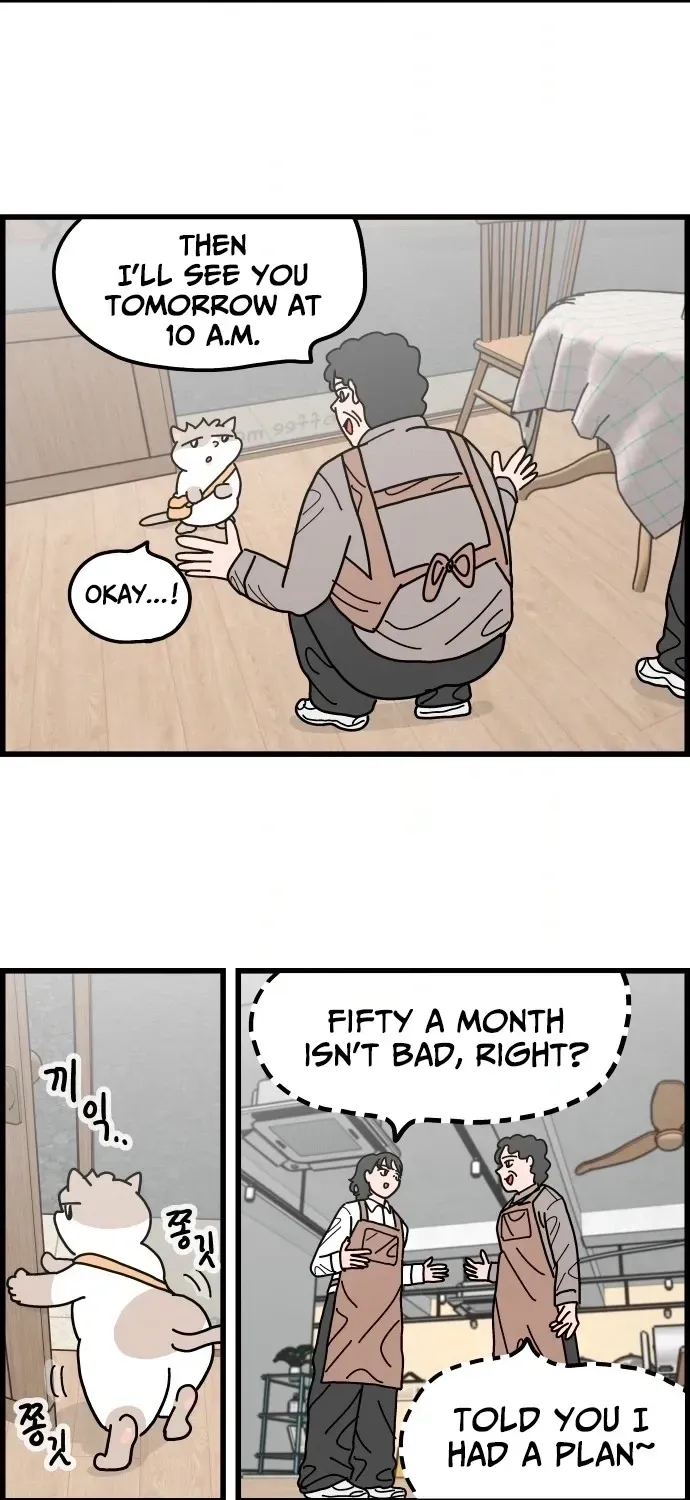 First-Job Cat Chapter 3 page 13 - 