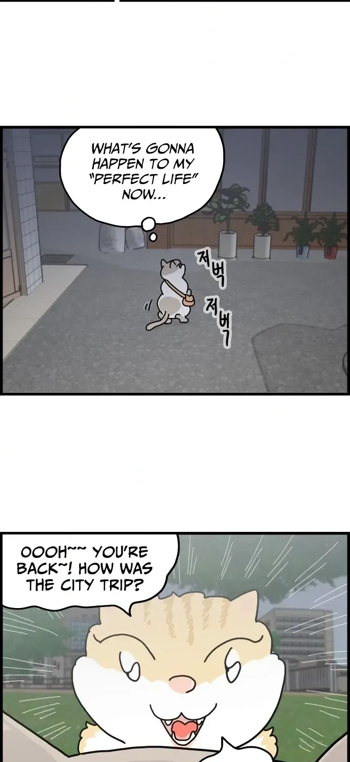 First-Job Cat Chapter 3 page 14 - 