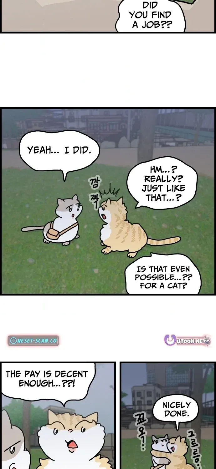 First-Job Cat Chapter 3 page 15 - 