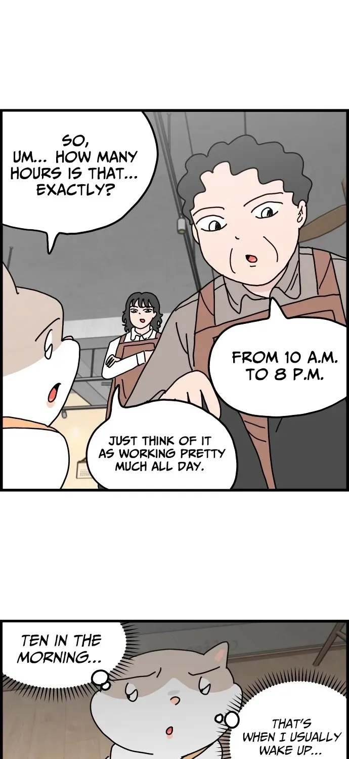 First-Job Cat Chapter 3 page 3 - 
