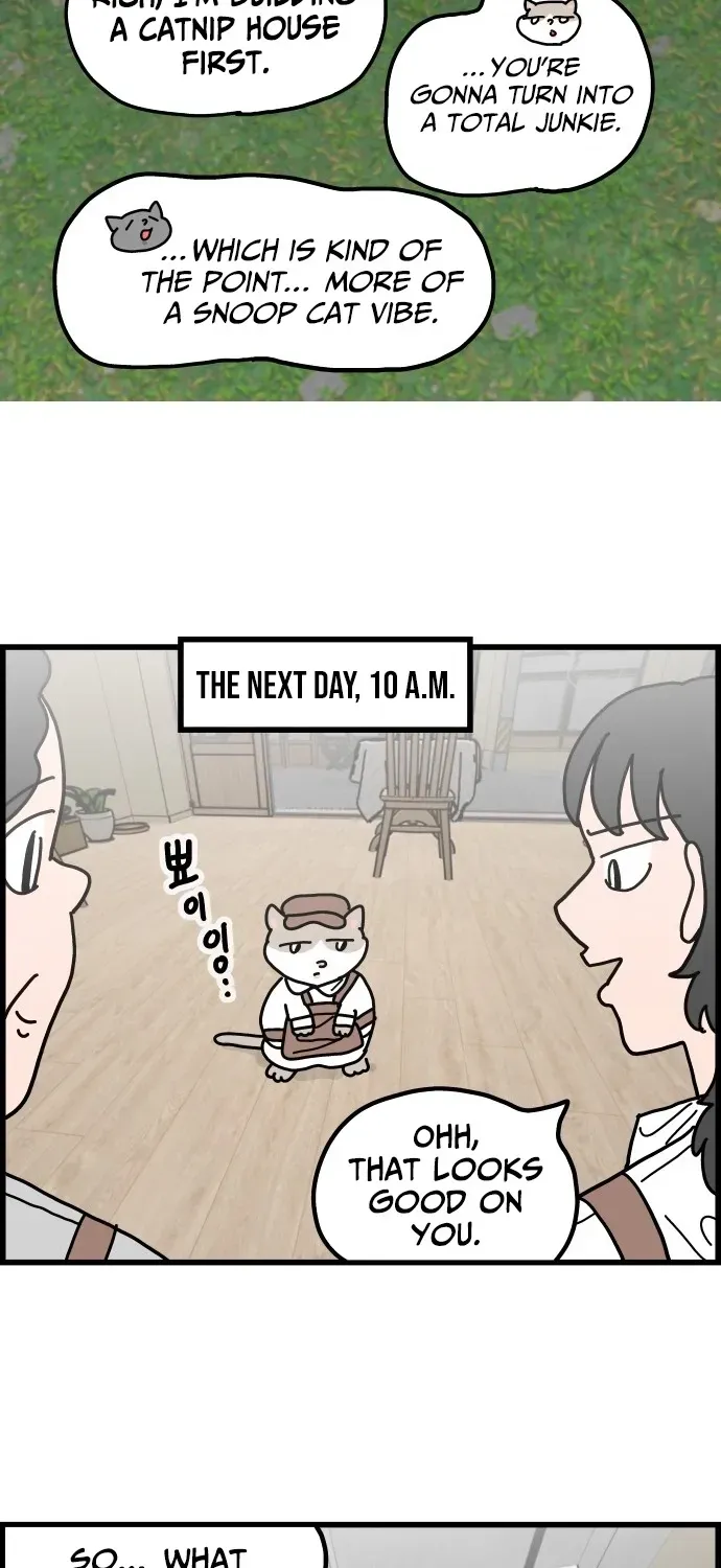 First-Job Cat Chapter 3 page 22 - 