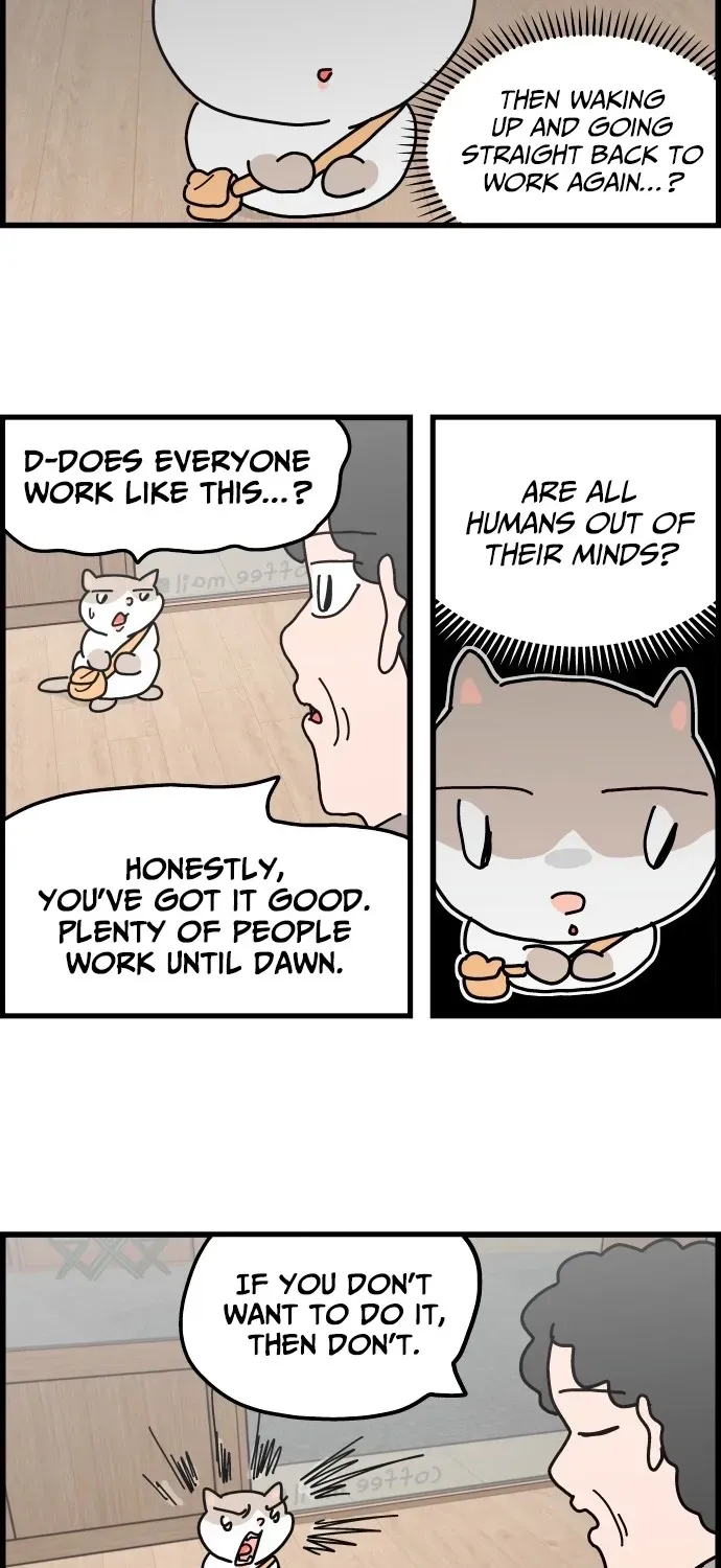 First-Job Cat Chapter 3 page 5 - 