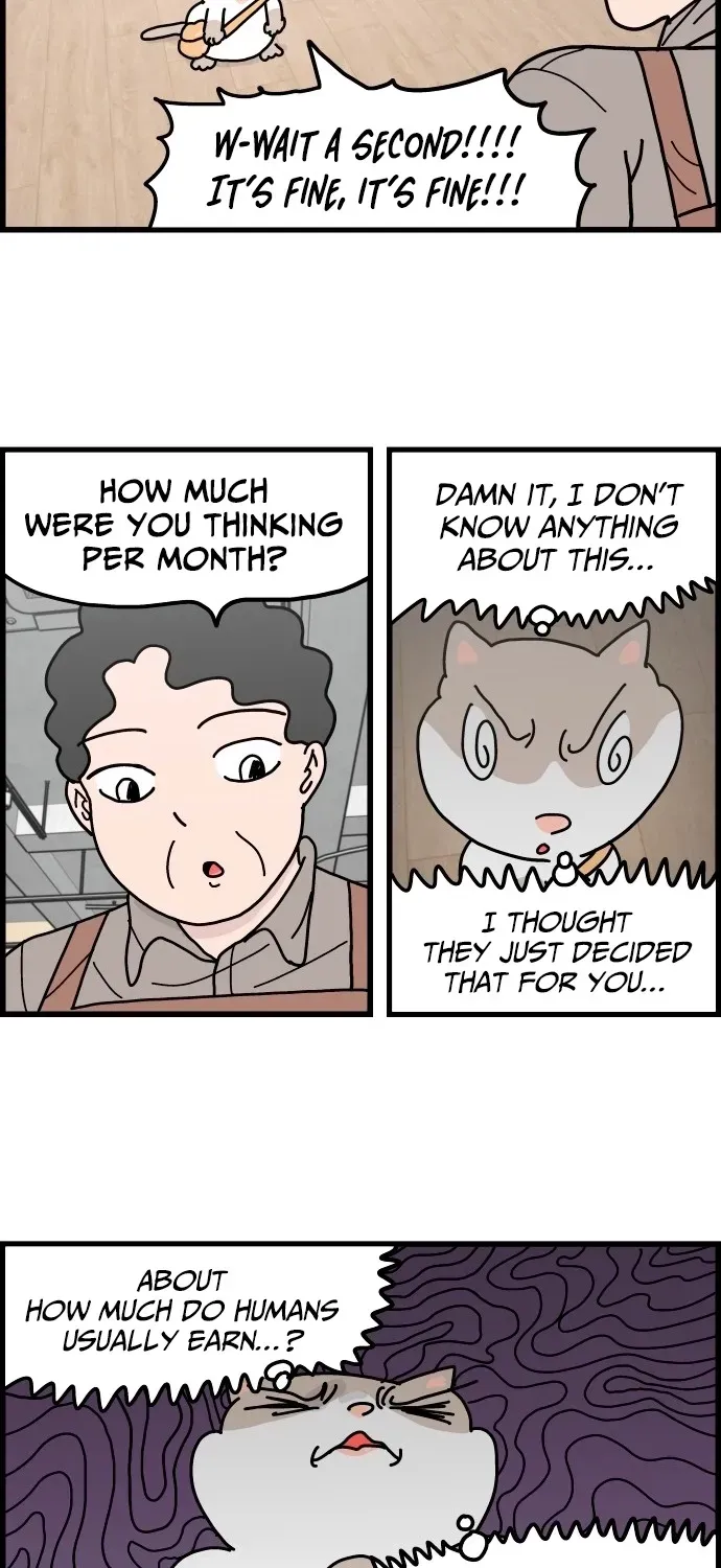 First-Job Cat Chapter 3 page 6 - 