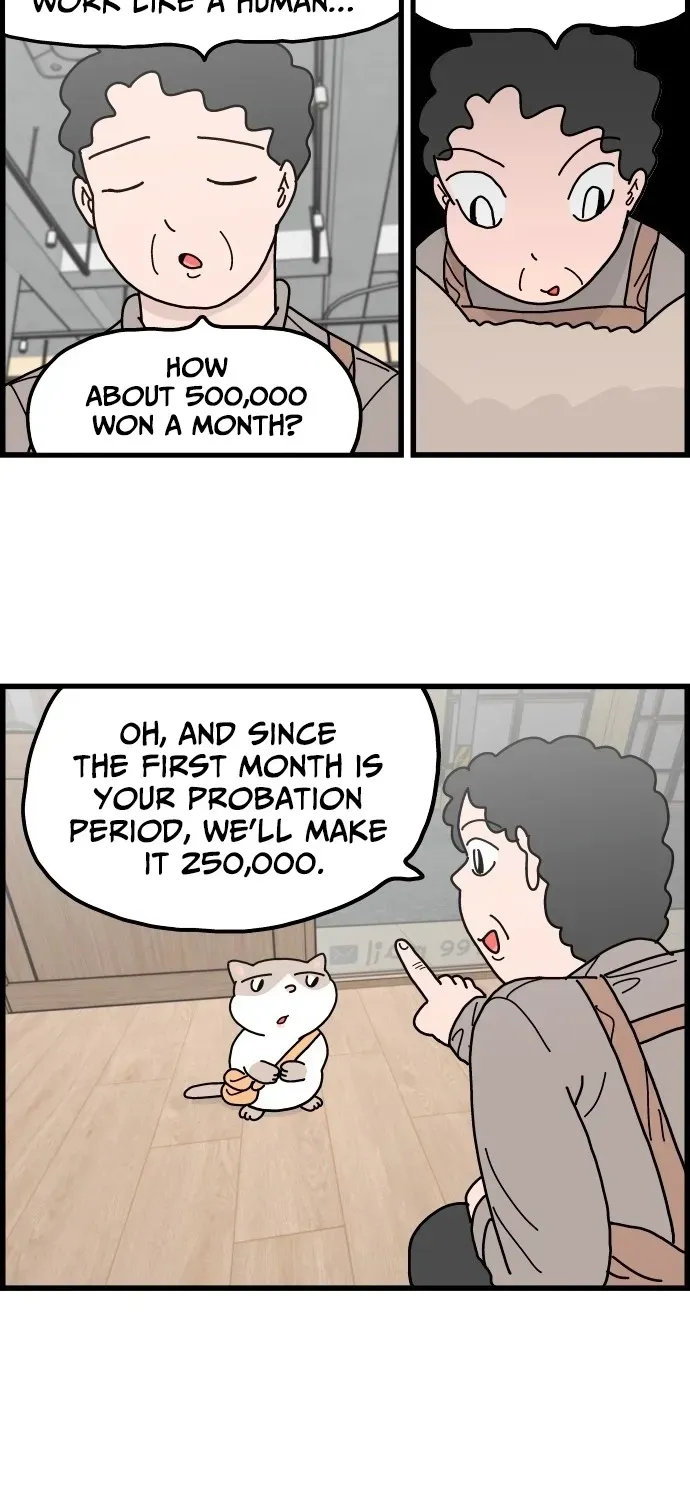 First-Job Cat Chapter 3 page 9 - 