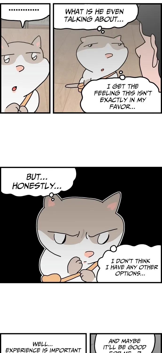 First-Job Cat Chapter 3 page 10 - 