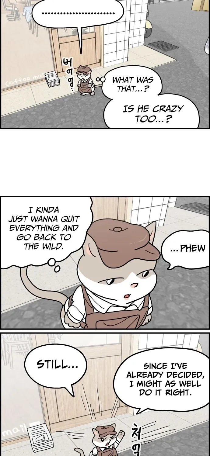 First-Job Cat Chapter 4 page 11 - 
