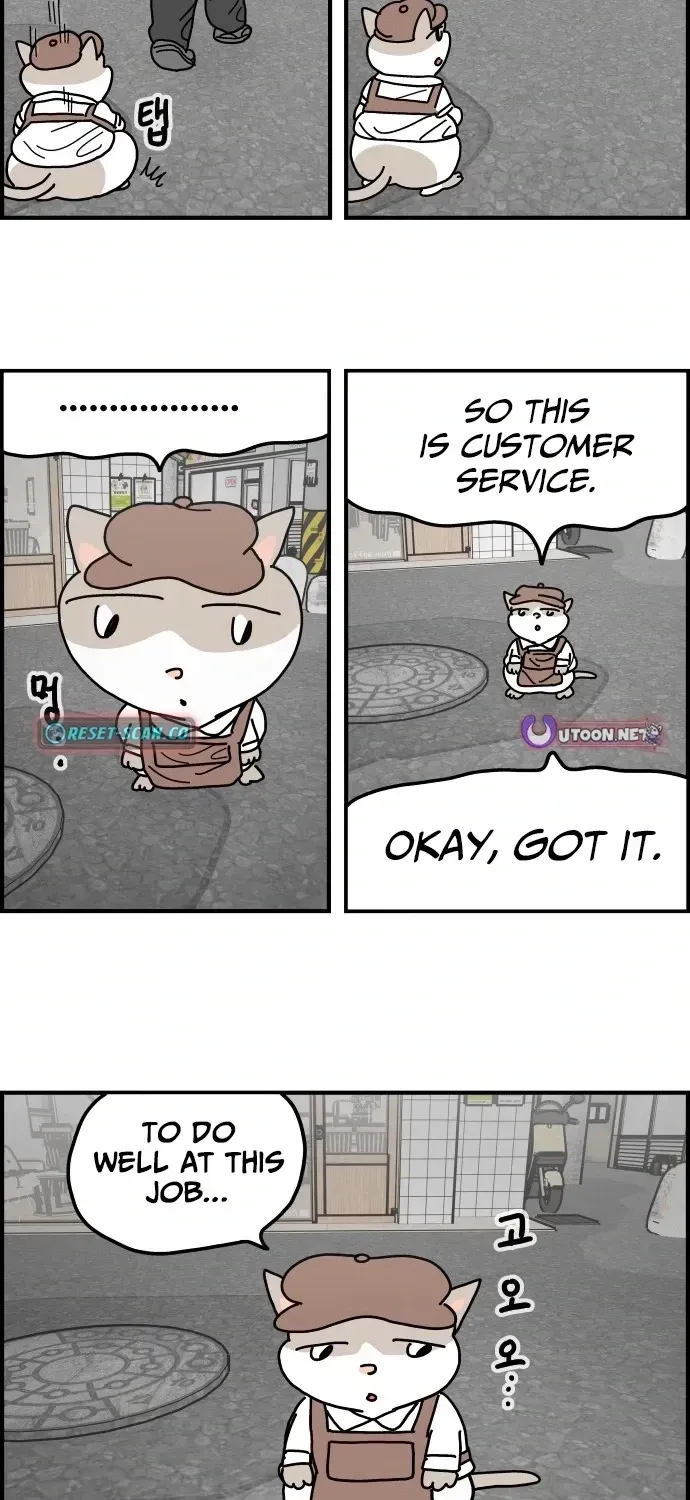 First-Job Cat Chapter 4 page 15 - 