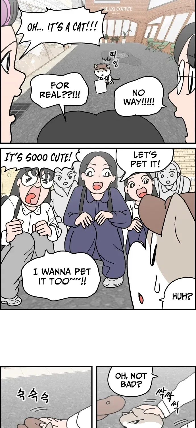 First-Job Cat Chapter 4 page 19 - 