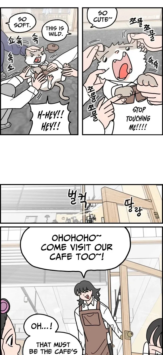 First-Job Cat Chapter 4 page 21 - 