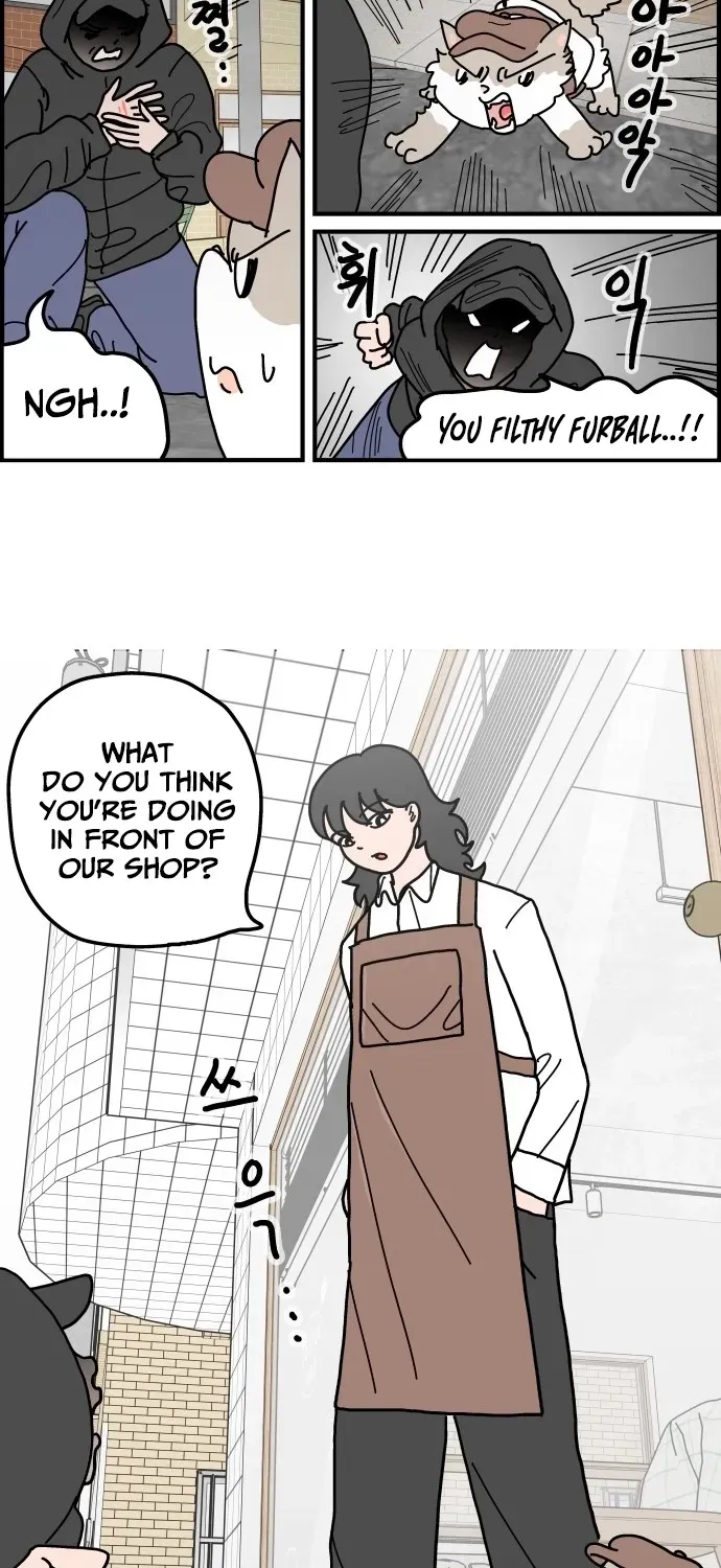 First-Job Cat Chapter 4 page 5 - 
