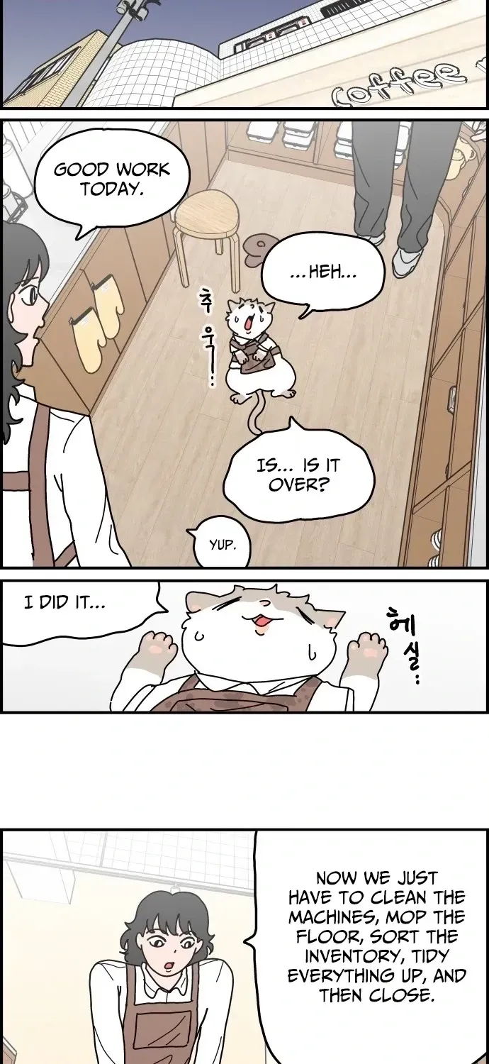 First-Job Cat Chapter 5 page 15 - 