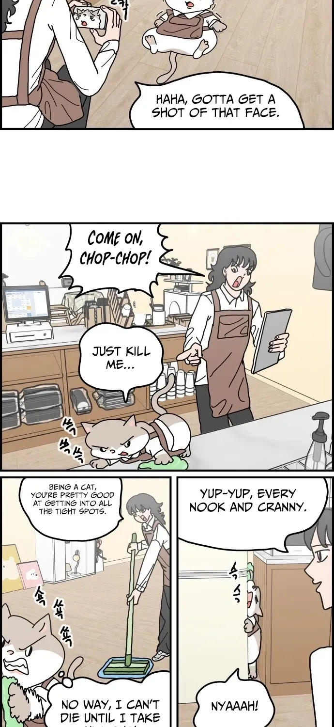 First-Job Cat Chapter 5 page 17 - 