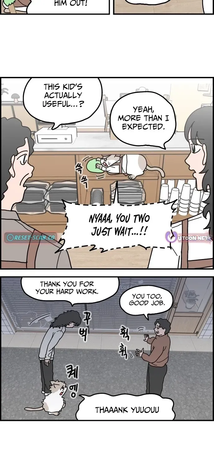 First-Job Cat Chapter 5 page 18 - 