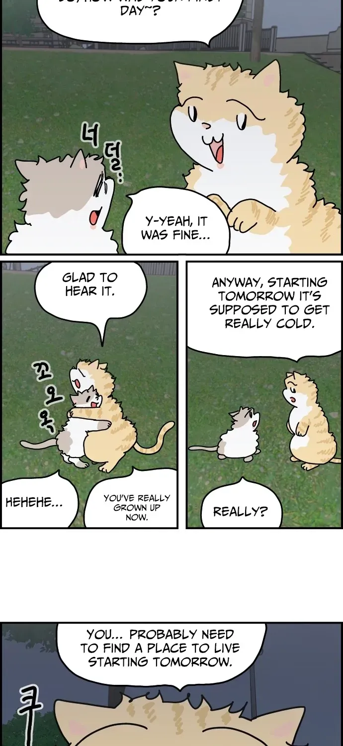 First-Job Cat Chapter 5 page 20 - 