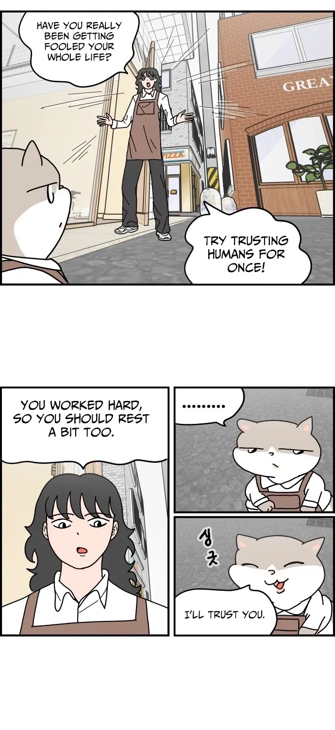 First-Job Cat Chapter 5 page 3 - 
