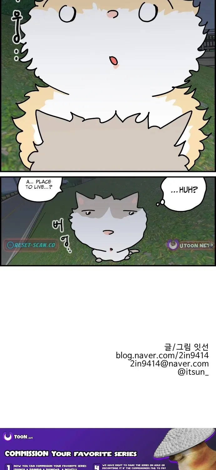 First-Job Cat Chapter 5 page 21 - 