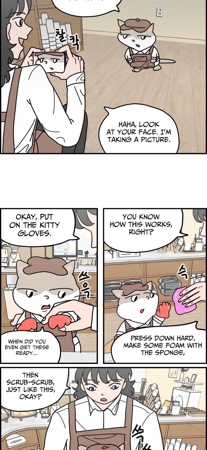 First-Job Cat Chapter 5 page 6 - 