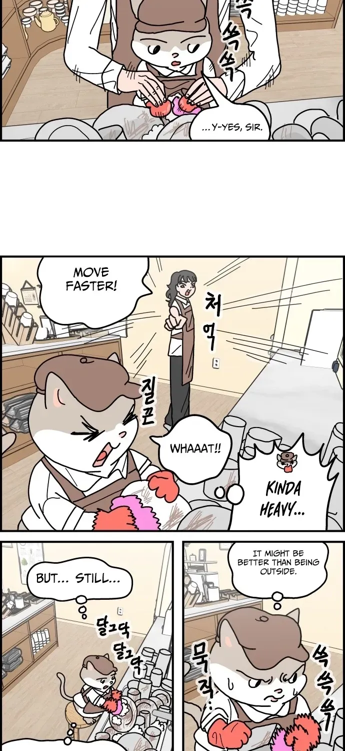 First-Job Cat Chapter 5 page 7 - 