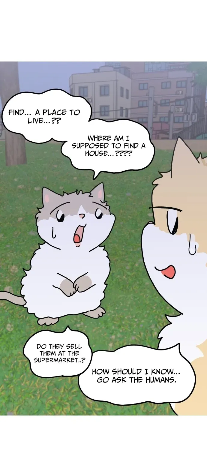 First-Job Cat Chapter 6 page 2 - 