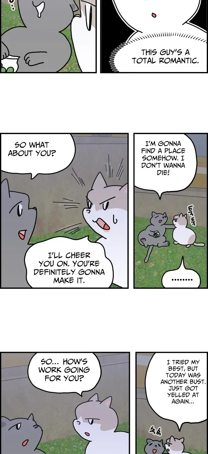 First-Job Cat Chapter 6 page 11 - 