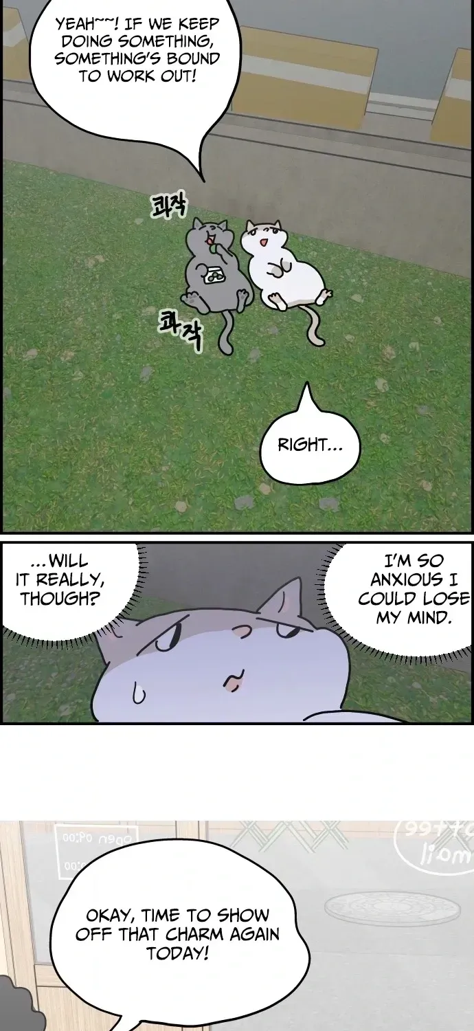 First-Job Cat Chapter 6 page 13 - 