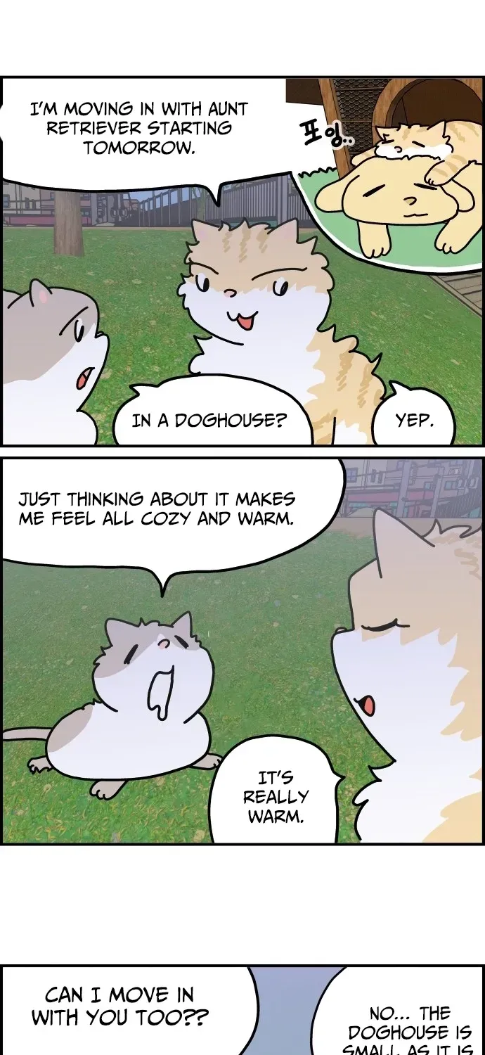 First-Job Cat Chapter 6 page 3 - 