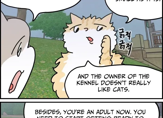 First-Job Cat Chapter 6 page 4 - 