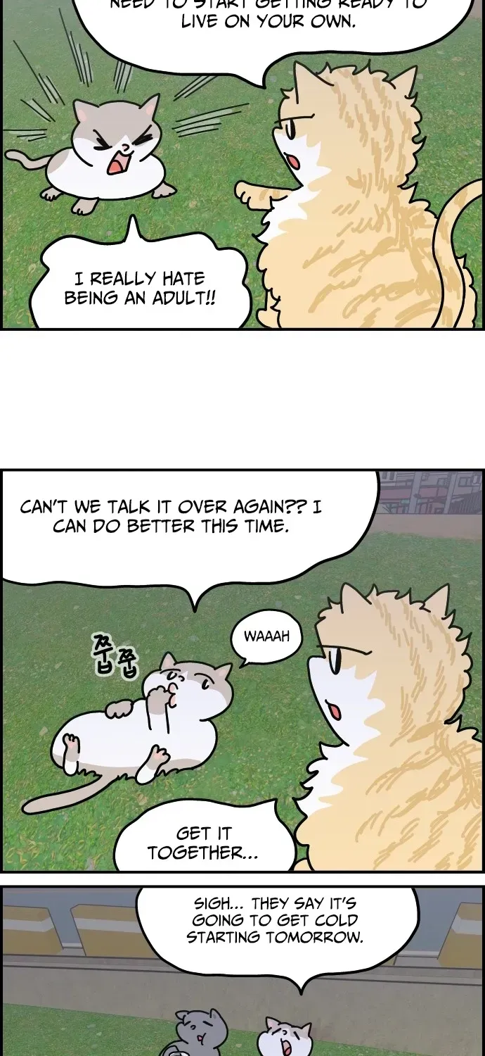 First-Job Cat Chapter 6 page 5 - 