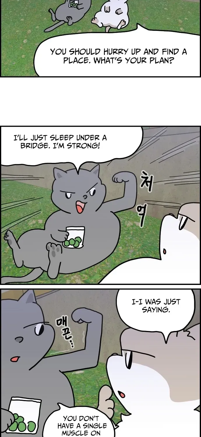 First-Job Cat Chapter 6 page 6 - 