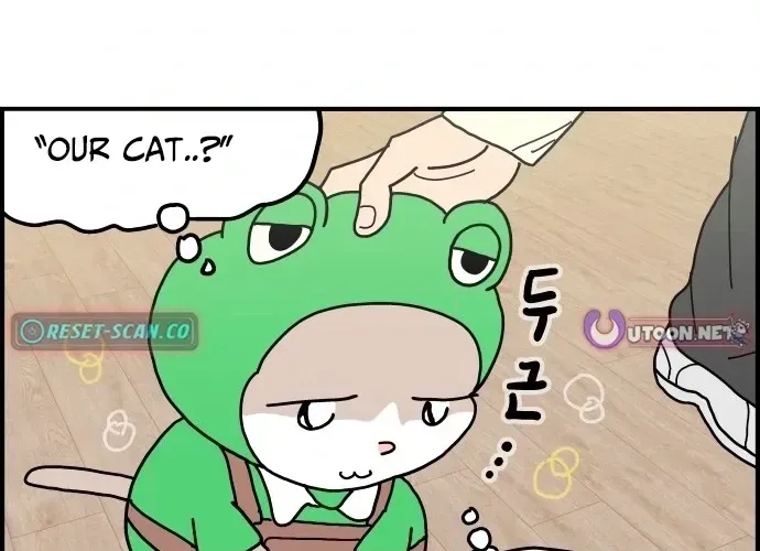 First-Job Cat Chapter 7 page 16 - 