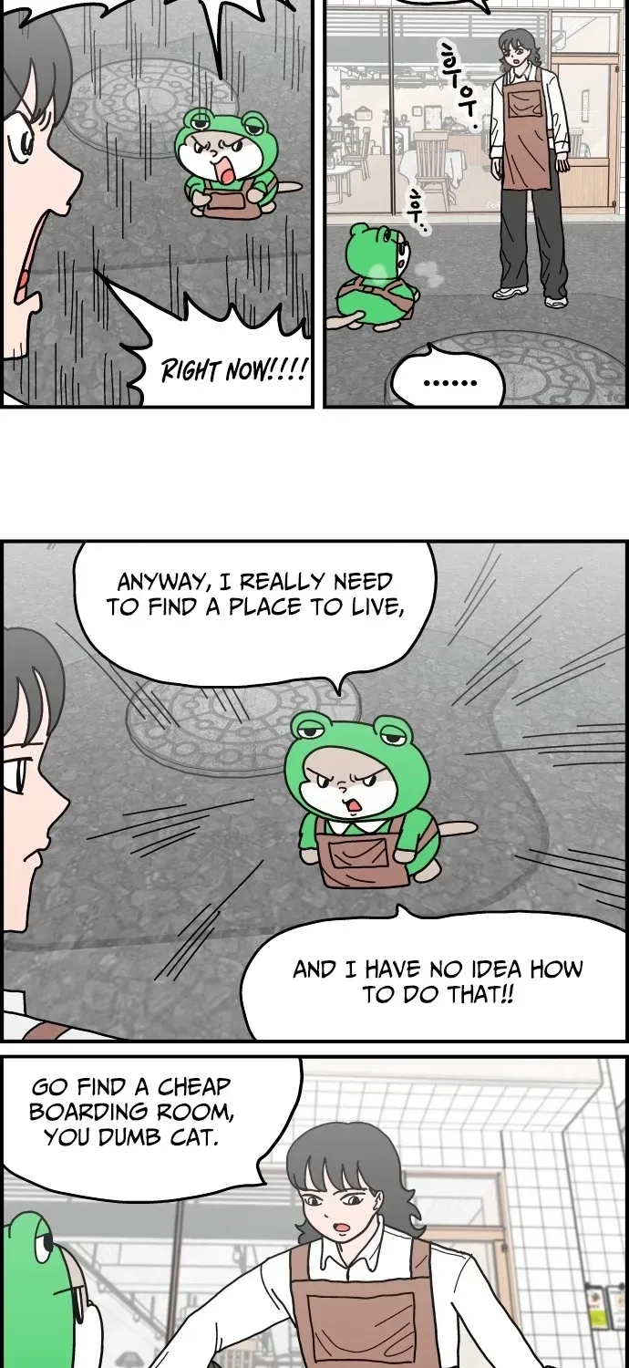 First-Job Cat Chapter 7 page 5 - 