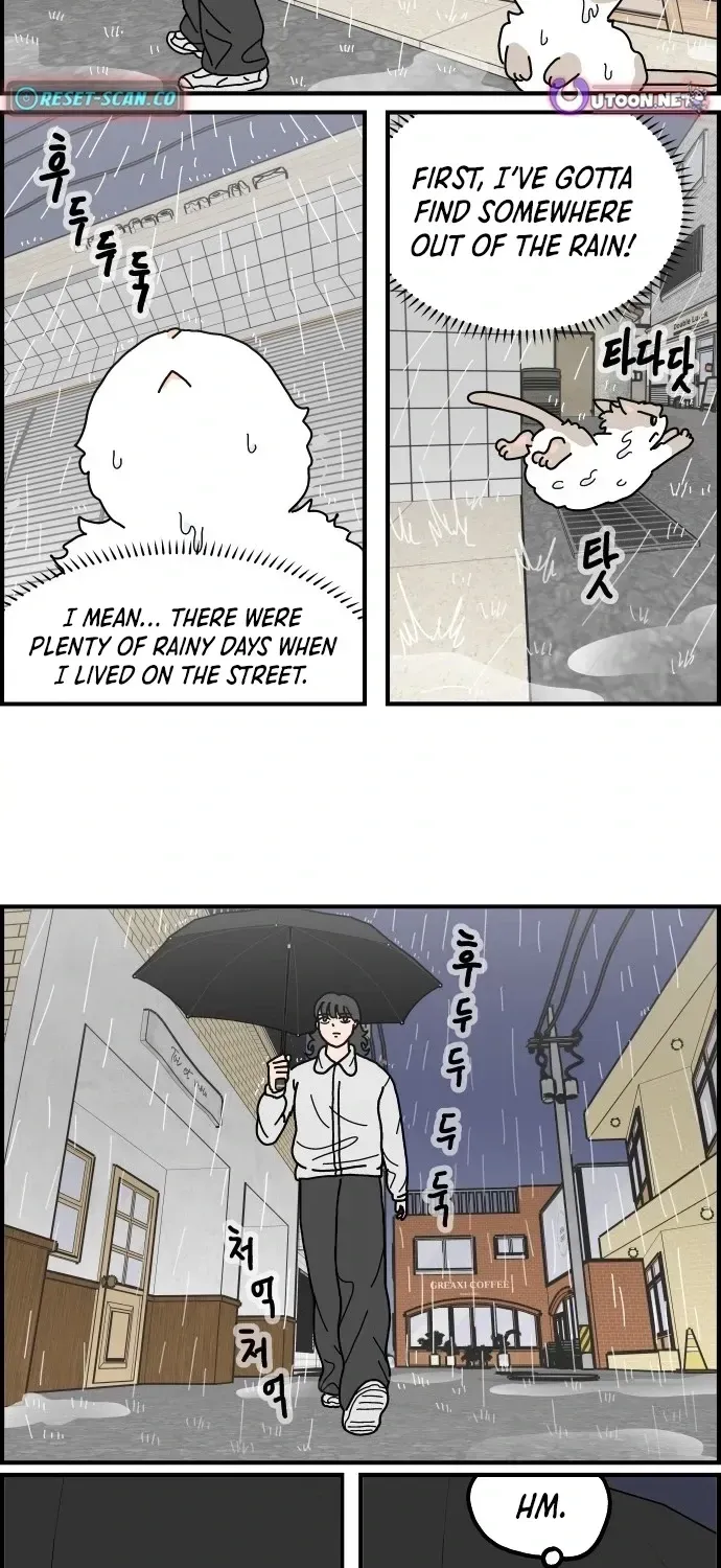First-Job Cat Chapter 9 page 15 - 