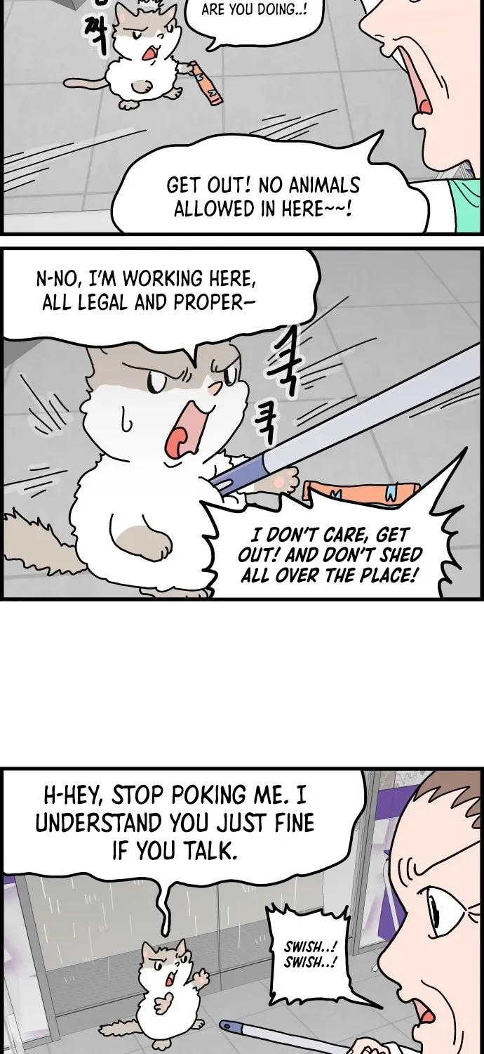 First-Job Cat Chapter 9 page 19 - 