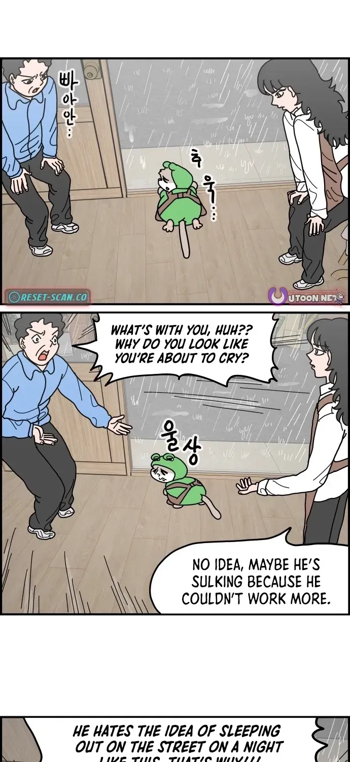 First-Job Cat Chapter 9 page 3 - 
