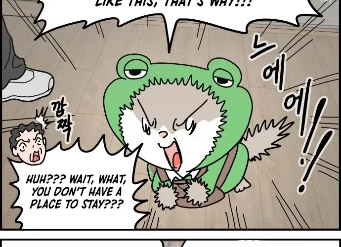 First-Job Cat Chapter 9 page 4 - 