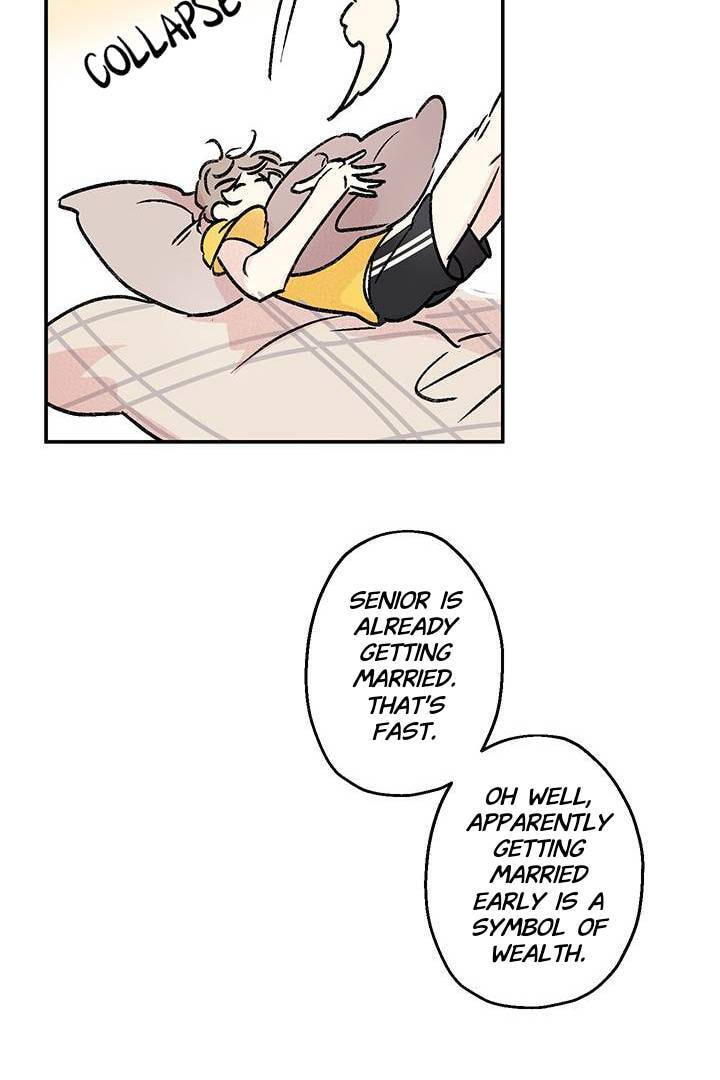 First Love Complex Chapter 18 page 41 - 