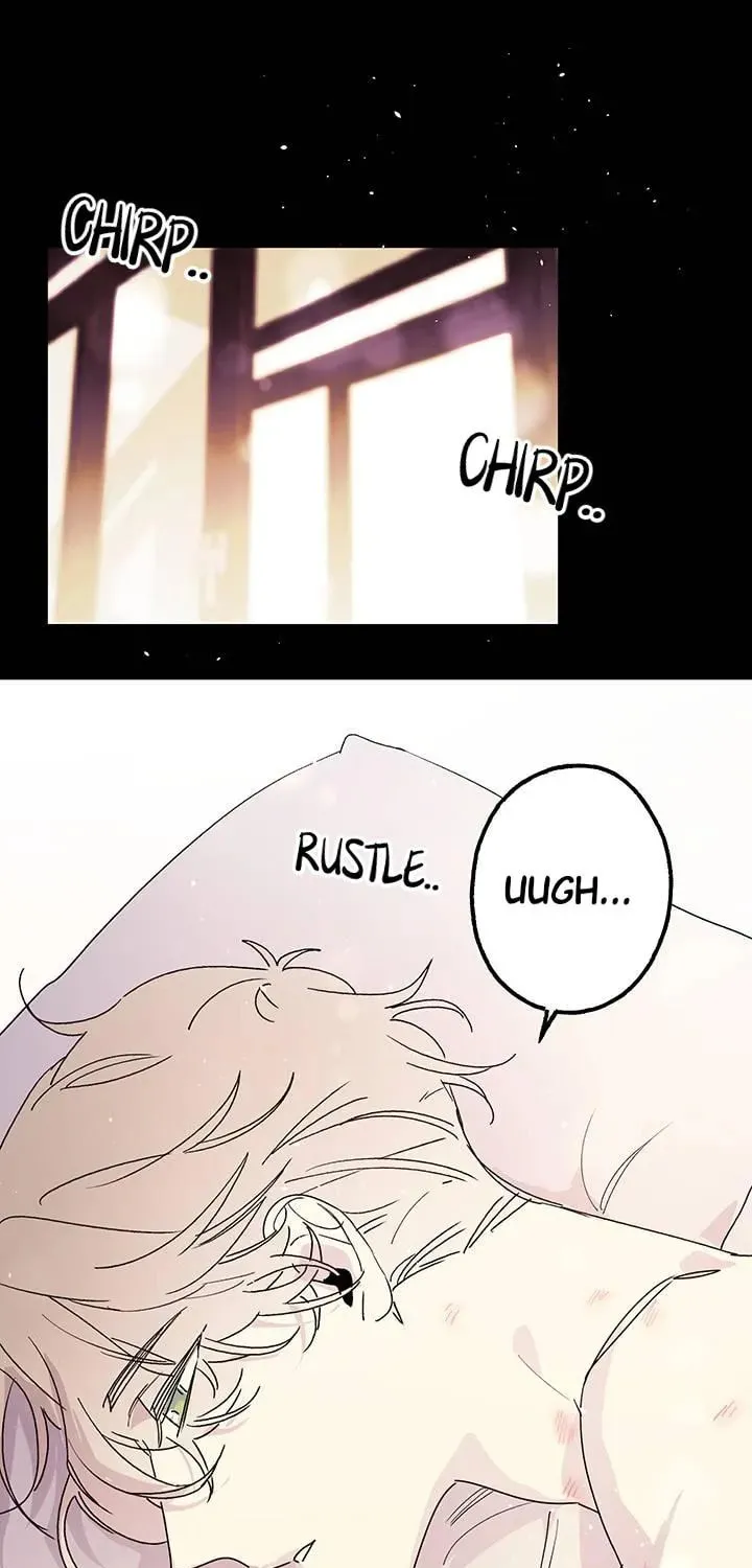 First Love Complex Chapter 2 page 1 - 