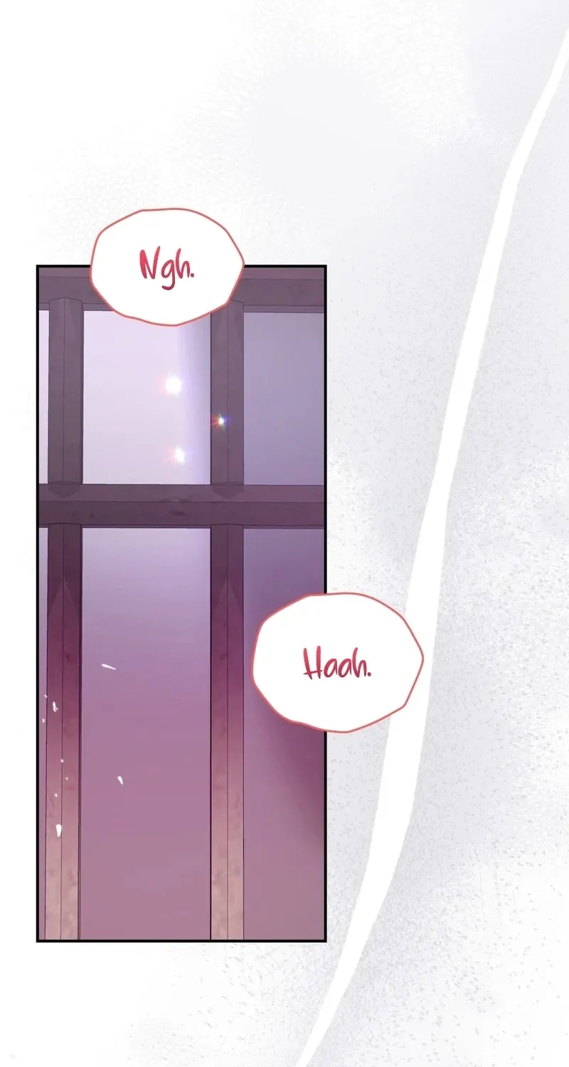 Five Husbands Appeared on My Birthday Chapter 0 page 3 - 