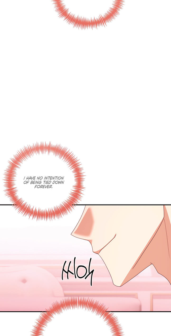 Five Husbands Appeared on My Birthday Chapter 27 page 15 - 