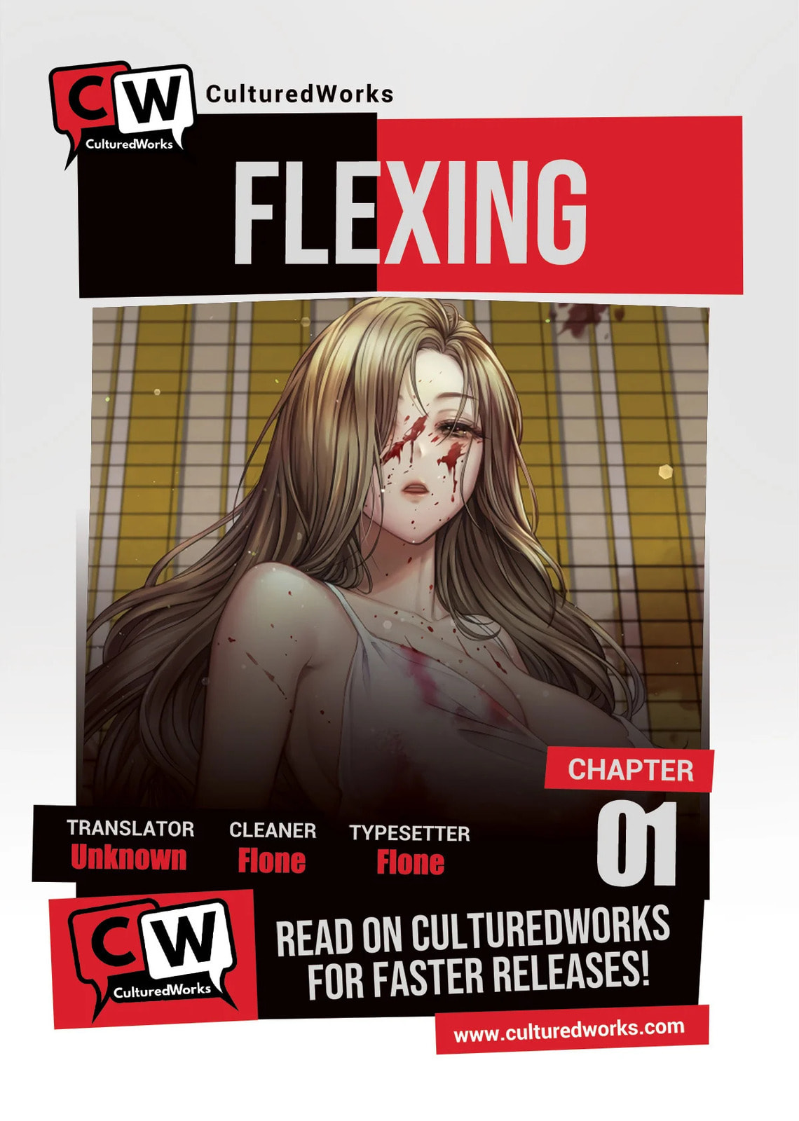 FLEX Chapter 1 page 1 - 