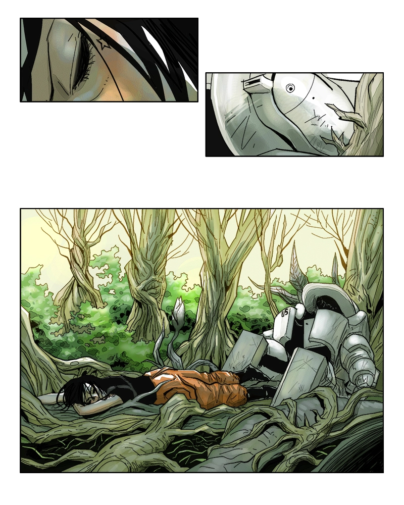 FLOWAR Chapter 13 page 2 - 