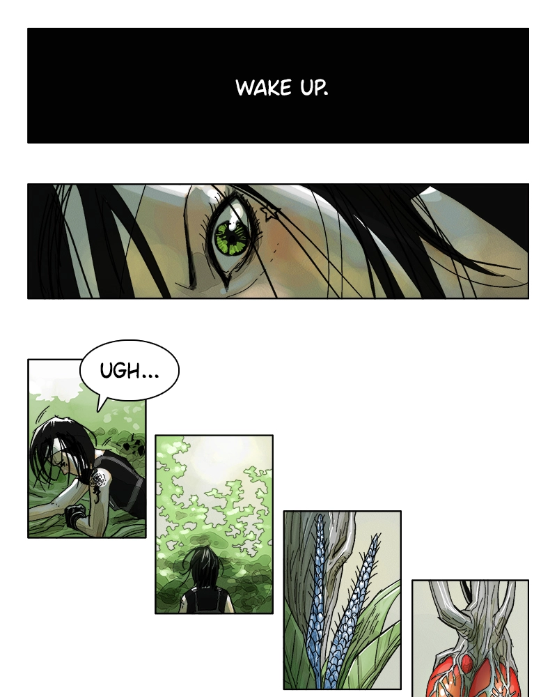 FLOWAR Chapter 13 page 3 - 
