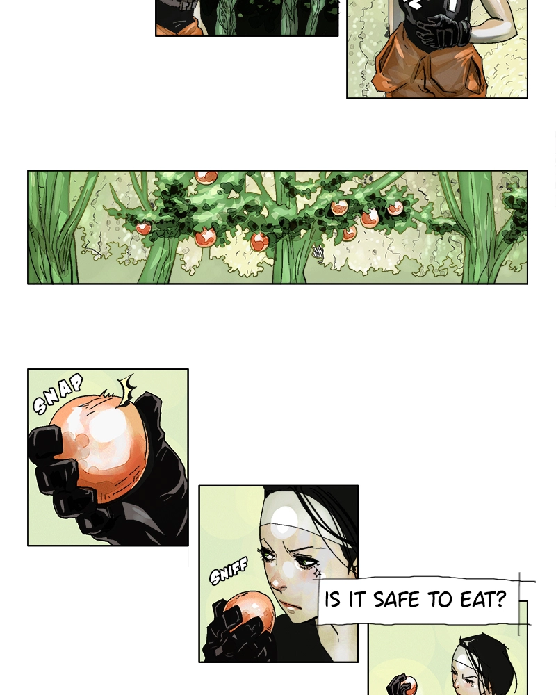 FLOWAR Chapter 13 page 9 - 