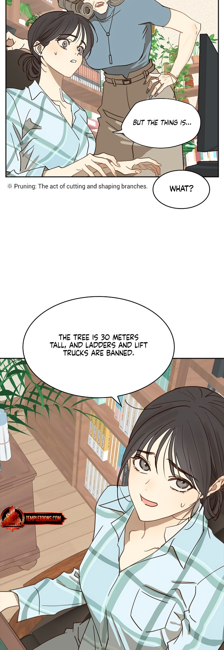Flower of Allure Chapter 15 page 15 - 