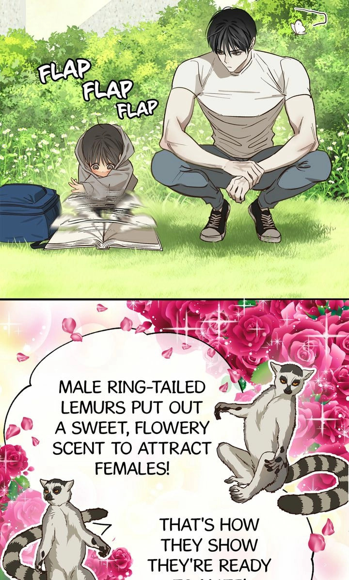 Flower of Allure Chapter 25 page 9 - 